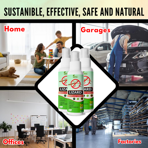 Lizard Repellent Spray | Buy 1 Get 2 Free