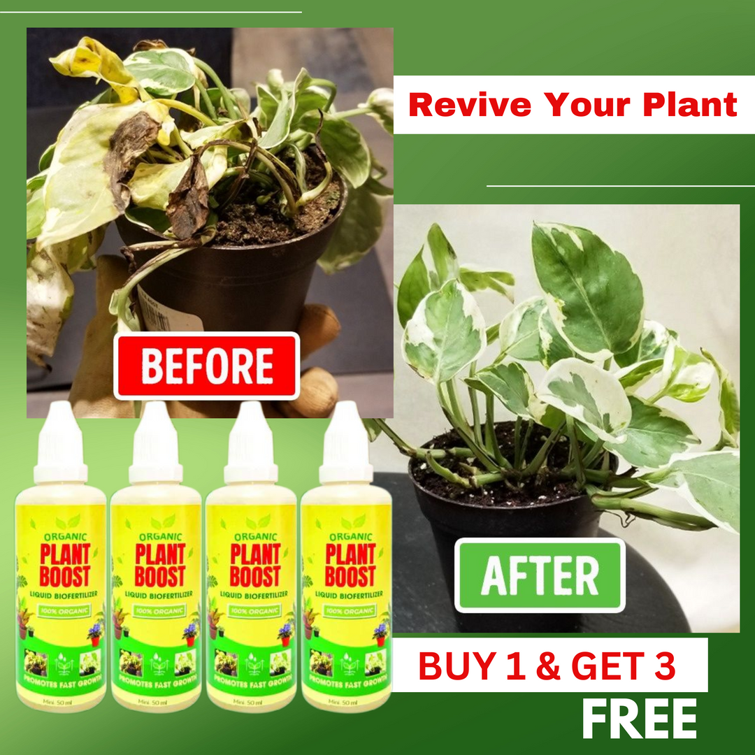 100% Organic Plant Boost Biofertilizer | BUY 1 GET 3 FREE 🔥